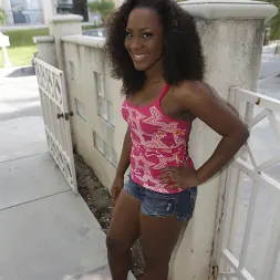 Ms Platinum en 'Bangbros' ¡Señorita Platino! (Miniatura 1)