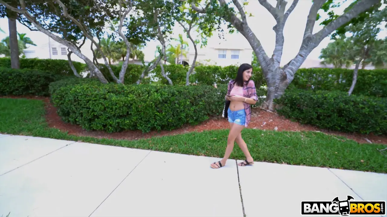 Bangbros 'BangBus Celebrates Cinco De Mayo 2018' starring Natalie Brooks (Photo 38)