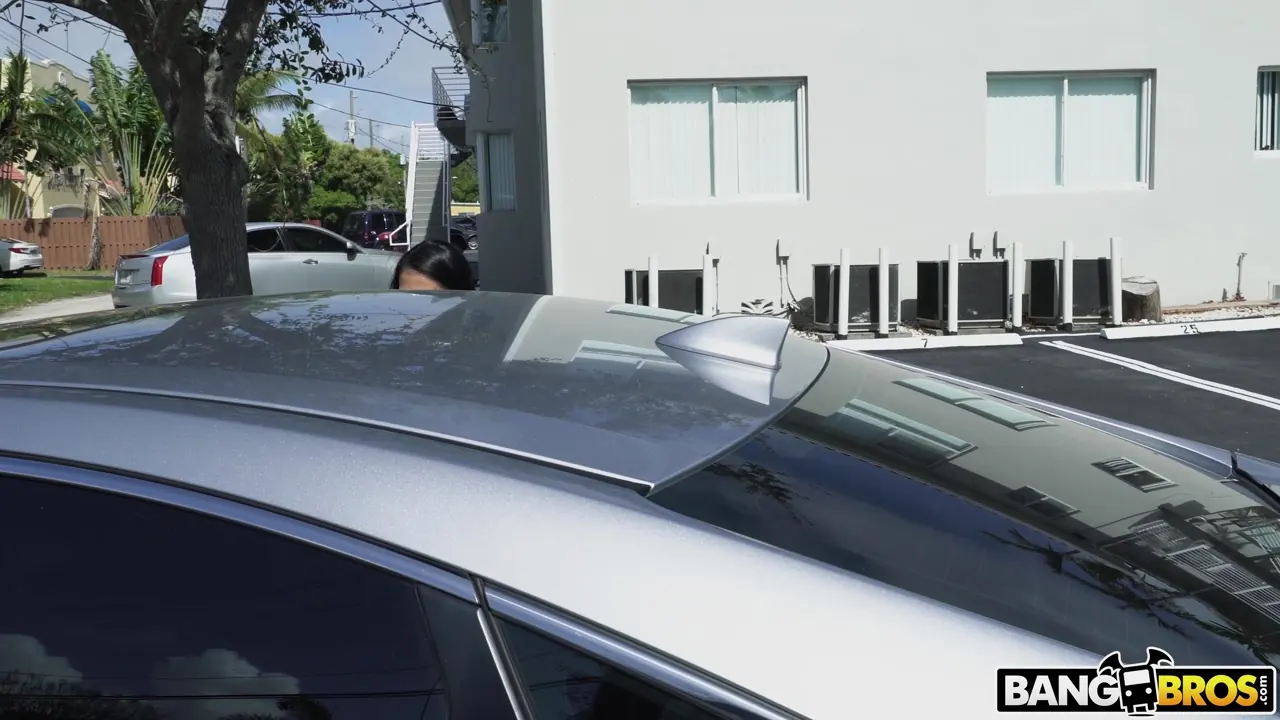 Paisley Page en 'Gets A Better Ride' from 'Bangbros' (foto 22) Bangbros 'Gets A Better Ride' protagonizando Paisley Page (foto 22)