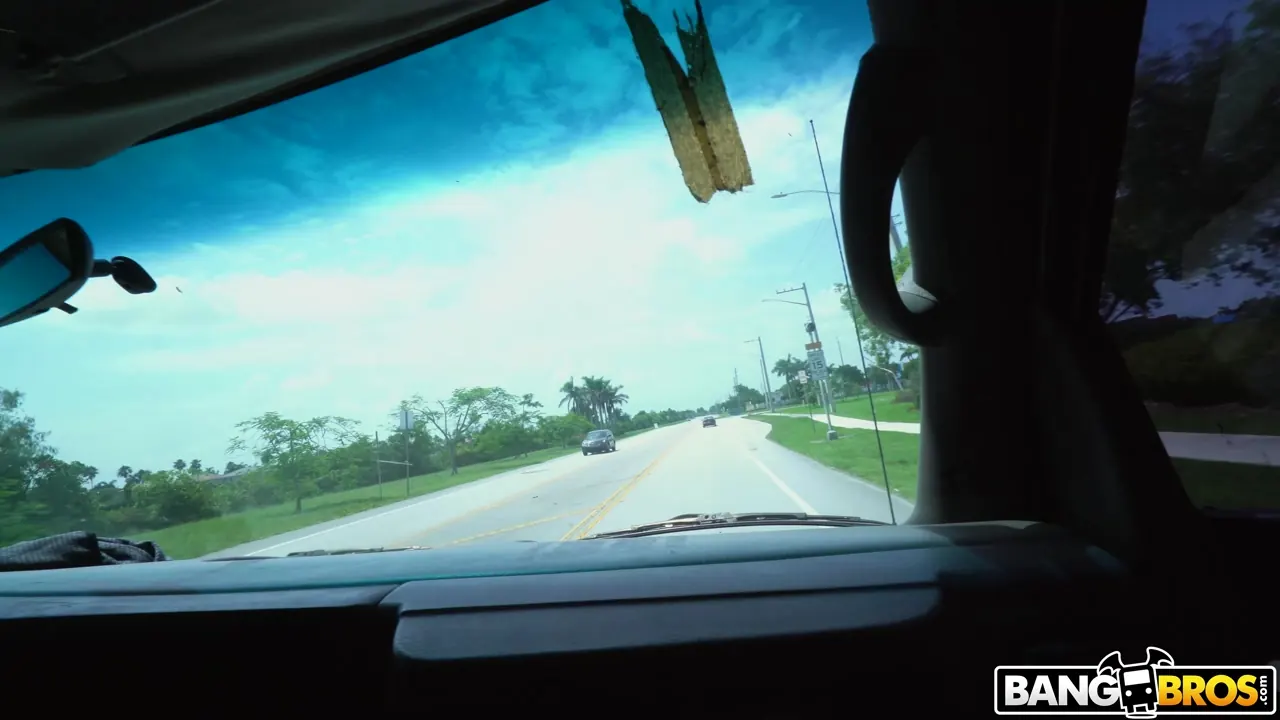 Pammy Bee in 'Regretted Ditching Hot Tits and Ass' from 'Bangbros' (Photo 1) Bangbros 'Regretted Ditching Hot Tits and Ass' starring Pammy Bee (Photo 1)