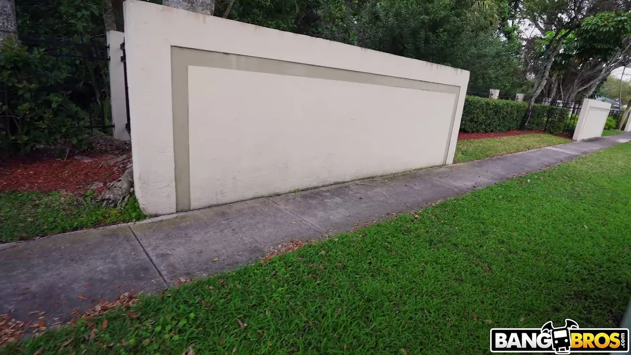 Paris Banks en 'Baile erótico con Paris Banks' from 'Bangbros' (foto 122) Bangbros 'Baile erótico con Paris Banks' protagonizando Paris Banks (foto 122)