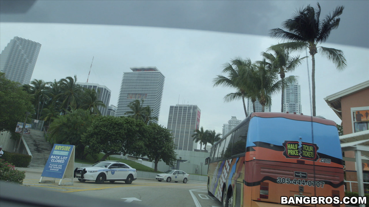 Bangbros 'Recorridos por Miami al estilo Bangbus' protagonizando Pristine Edge (foto 1)