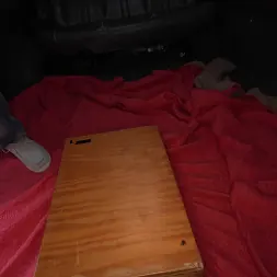 Rachael Cavalli in 'Bangbros' Cavalli's Quest for Dicks (Thumbnail 141)