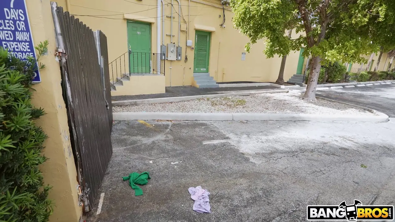 Bangbros 'Fucking Grandpa For Cash' starring Reese Robbins (Photo 750)