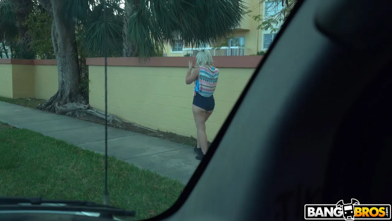 Bangbros 'Rhound and Big White Ass on the Bus' starring Rhonda Rhound (Photo 1)