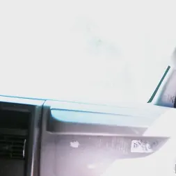 Riley Reign en 'Bangbros' Si me muestras el tuyo (Miniatura 1)