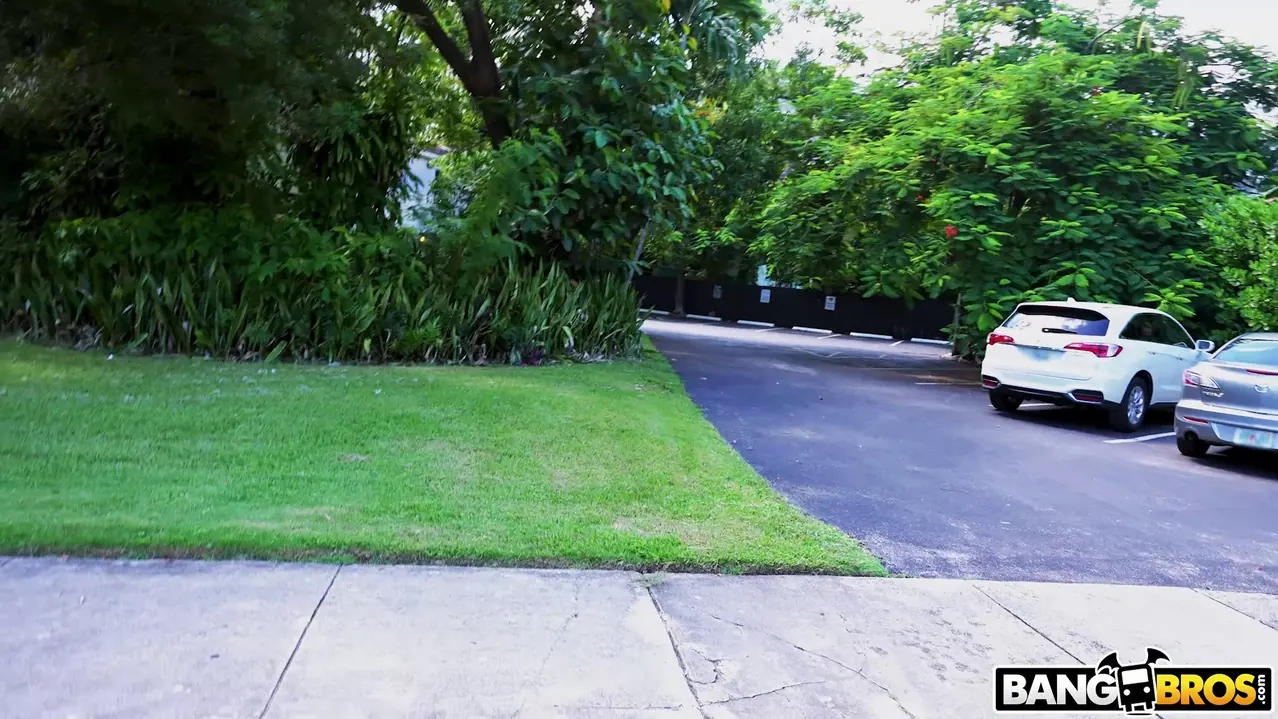 Bangbros 'Si me muestras el tuyo' protagonizando Riley Reign (foto 375)