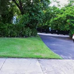 Riley Reign en 'Bangbros' Si me muestras el tuyo (Miniatura 375)