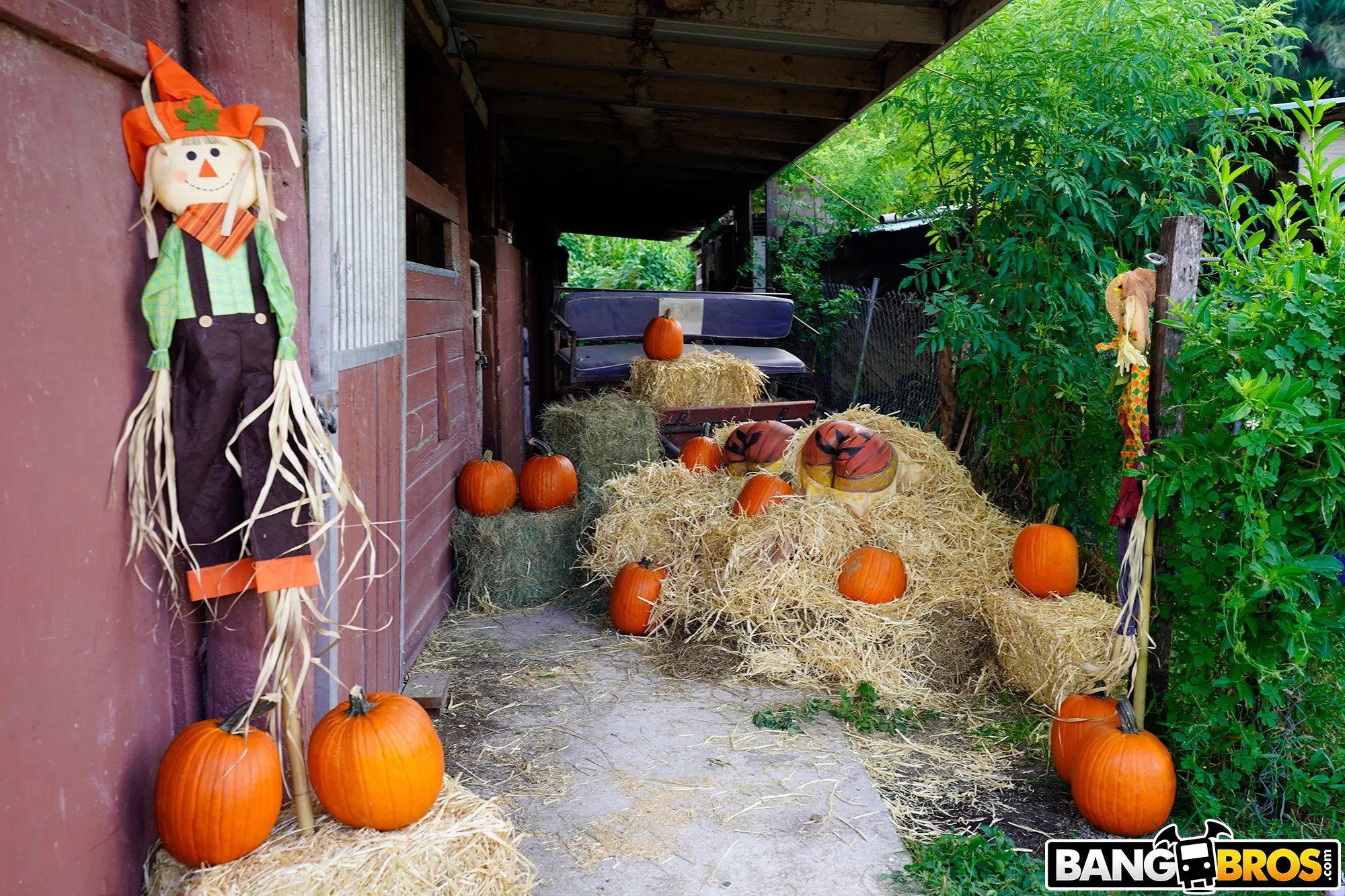 Bangbros 'Pumpkin Booty Patch' starring Rose Monroe (Photo 1)