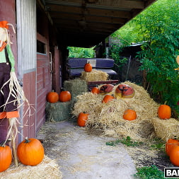Rose Monroe in 'Bangbros' Pumpkin Booty Patch (Thumbnail 1)