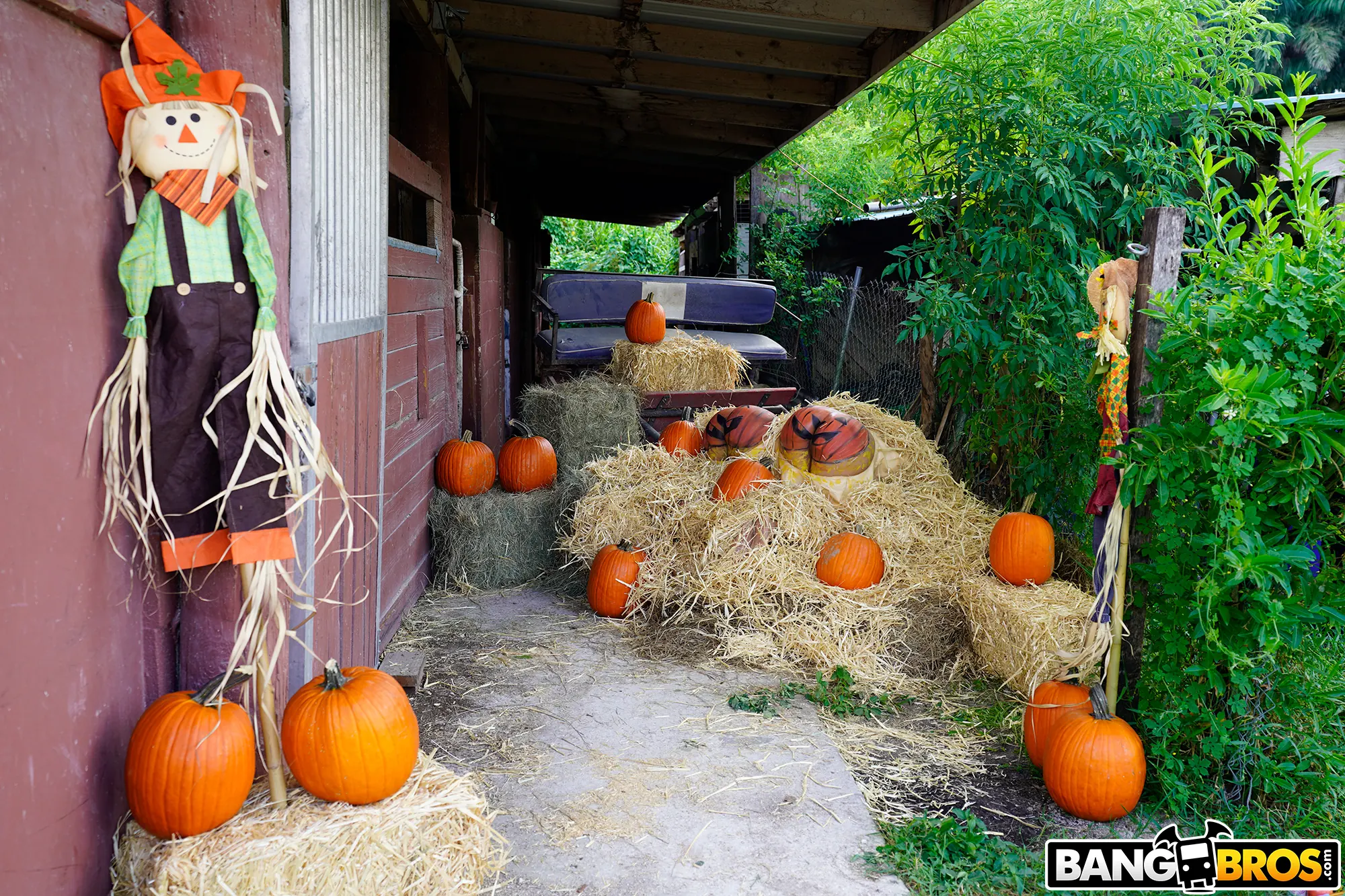 Bangbros 'Pumpkin Booty Patch' starring Rose Monroe (Photo 3)