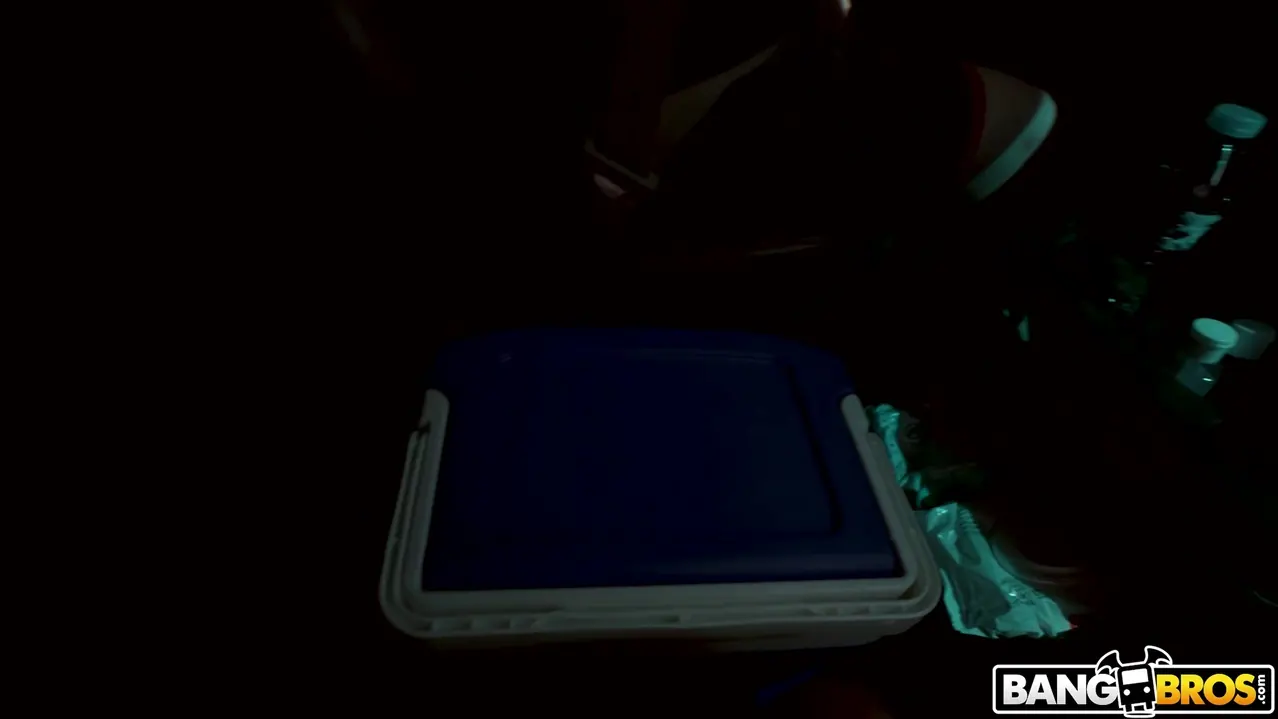 Bangbros 'Syrian Chick Fucks For Cash' starring Roxie Sinner (Photo 1)