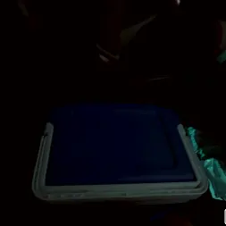 Roxie Sinner in 'Bangbros' Syrian Chick Fucks For Cash (Thumbnail 1)