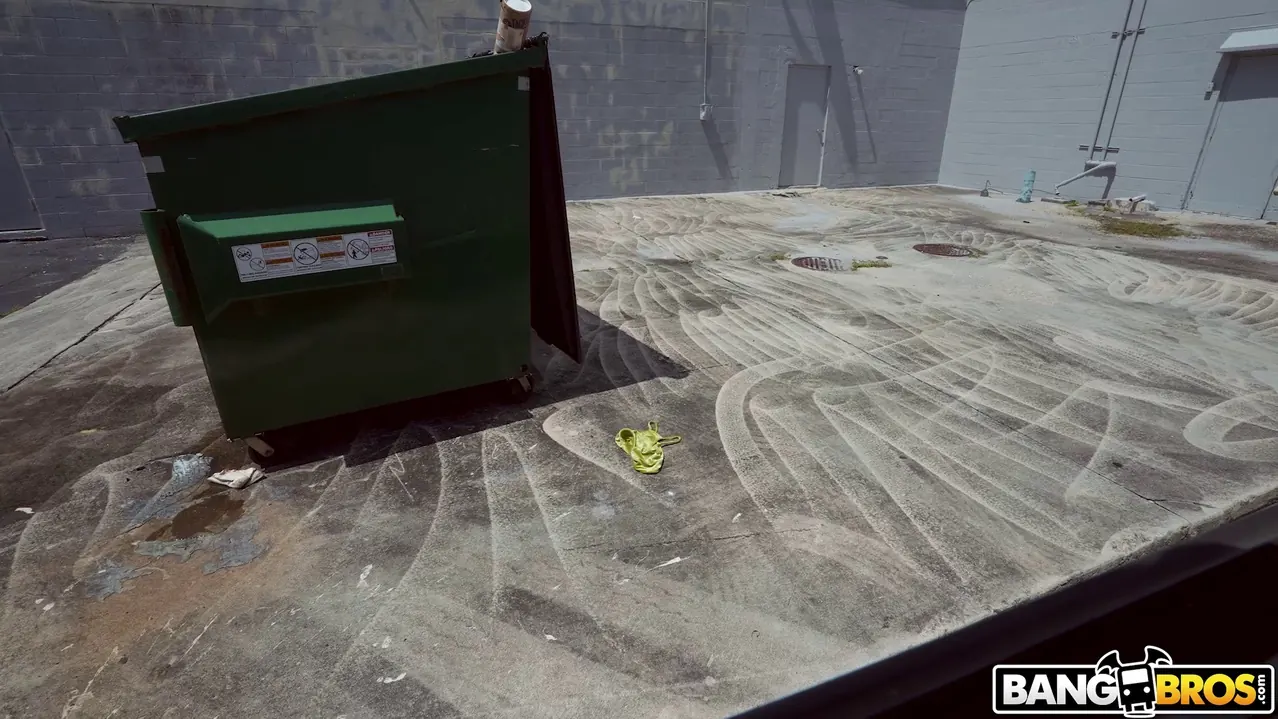 Bangbros 'Syrian Chick Fucks For Cash' starring Roxie Sinner (Photo 825)