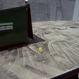 Roxie Sinner in 'Bangbros' Syrian Chick Fucks For Cash (Thumbnail 825)