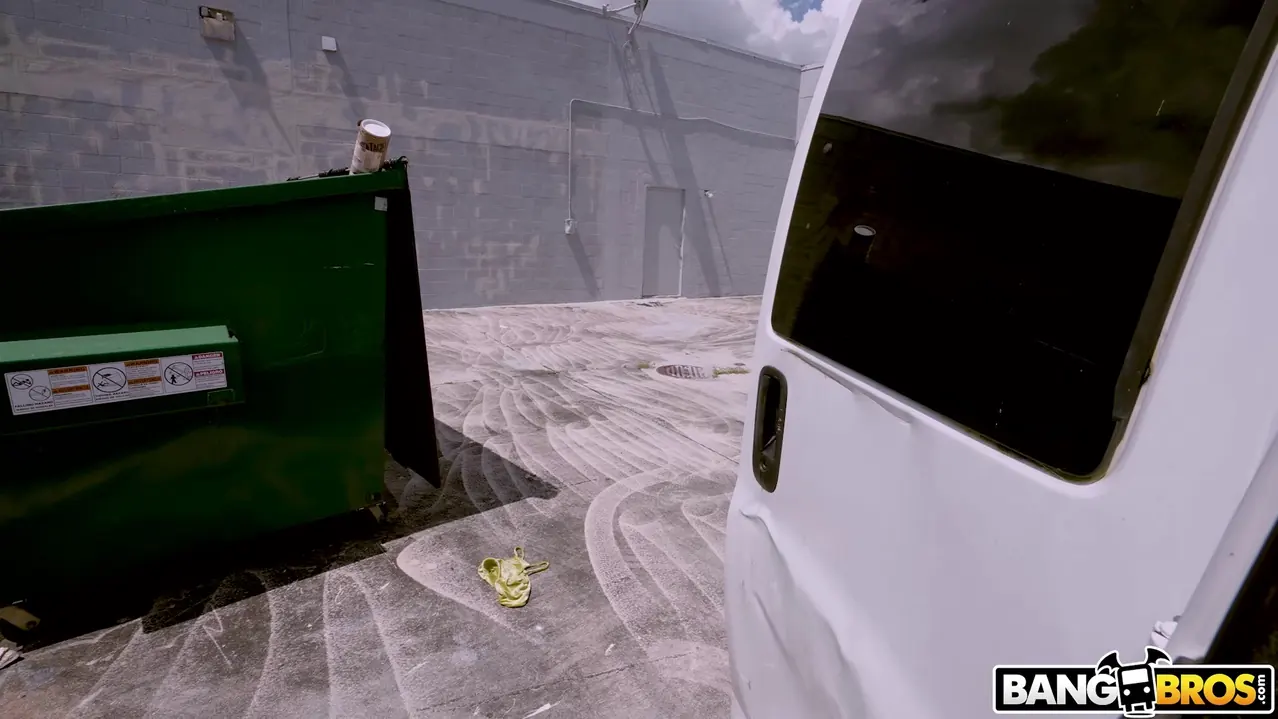 Bangbros 'Syrian Chick Fucks For Cash' starring Roxie Sinner (Photo 900)