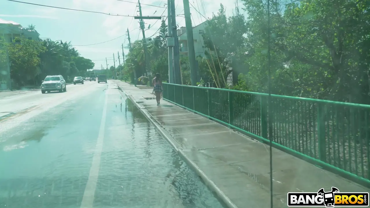 Bangbros 'Big Booty Hottie Fucks on The Bus' starring Sadie Creams (Photo 1)