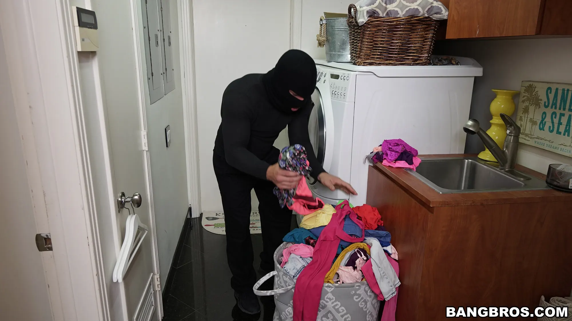 Bangbros 'fucks the thief' protagonizando Sara Jay (foto 52)