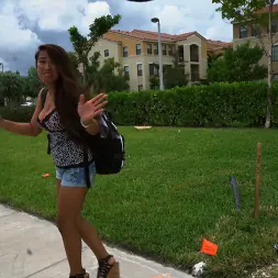 Sasha Yamagucci in 'Bangbros' Sasha catches a ride and some cock (Thumbnail 42)