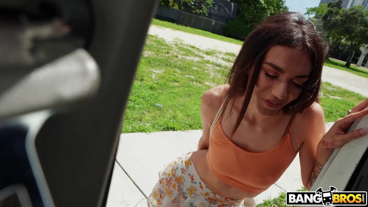 Bangbros 'Dejado bajo la lluvia' protagonizando Sawyer Cassidy (foto 690)