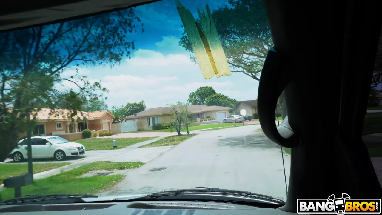 Bangbros 'Perfect Way To Get A Lap Dance' starring Scarlett Johnson (Photo 1)