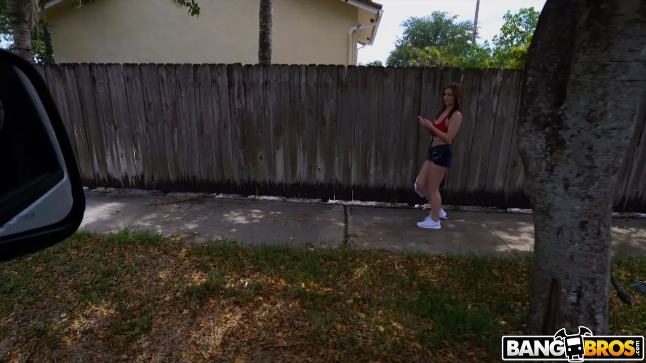 Bangbros 'Perfect Way To Get A Lap Dance' starring Scarlett Johnson (Photo 36)