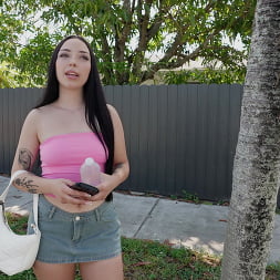 Scarlett Rosewood in 'Bangbros' Riding The Anal Bus (Thumbnail 284)