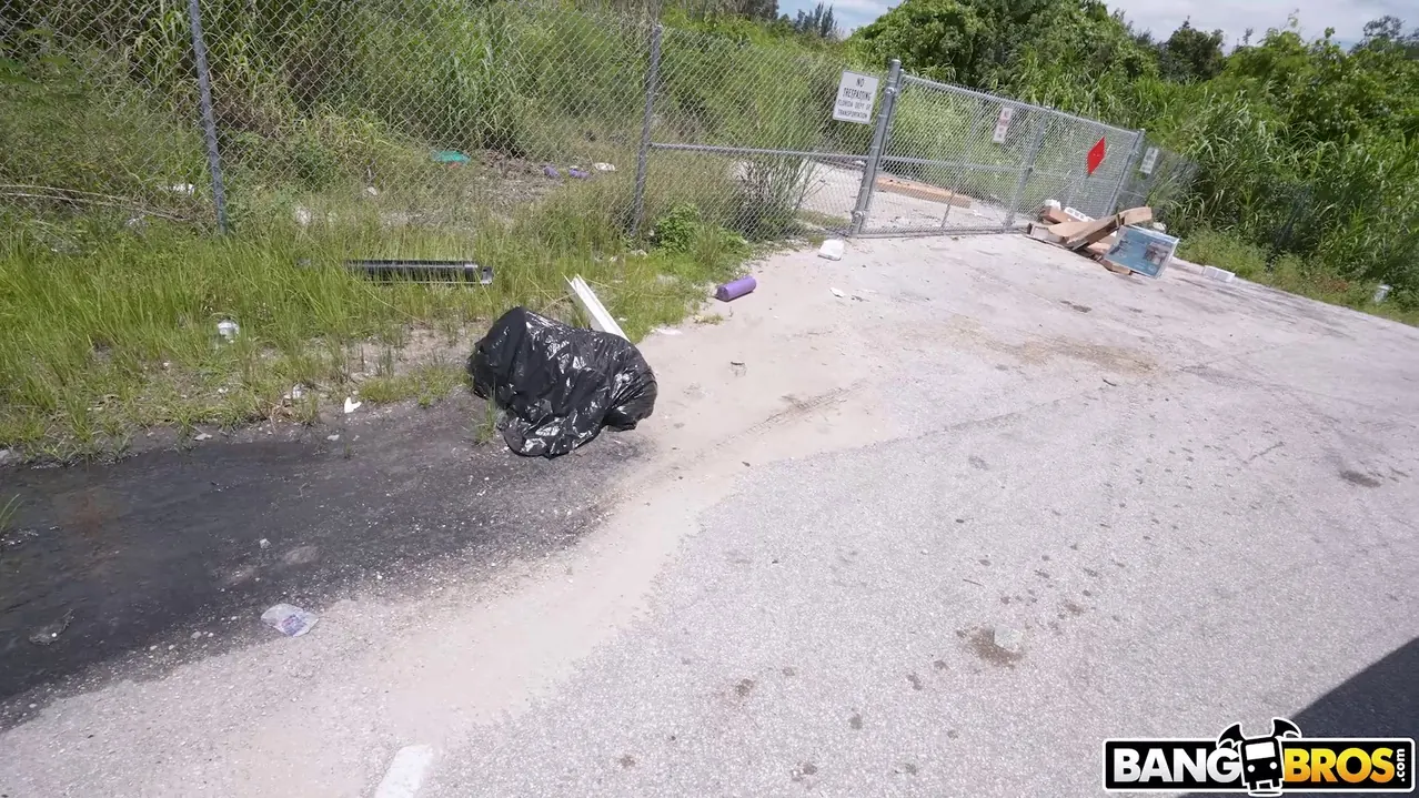 Bangbros 'Modelo folla por dinero' protagonizando Scarlett Sommers (foto 825)