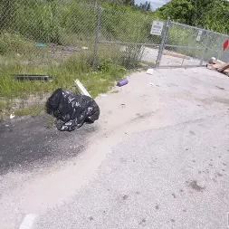 Scarlett Sommers en 'Bangbros' Modelo folla por dinero (Miniatura 825)