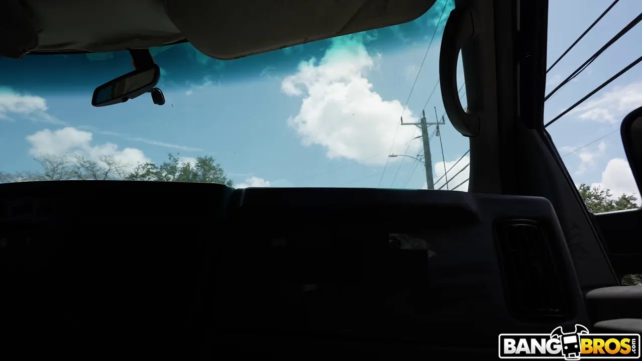 Bangbros 'If The Bus Is A Rocking' starring Sheem the Dream (Photo 1)