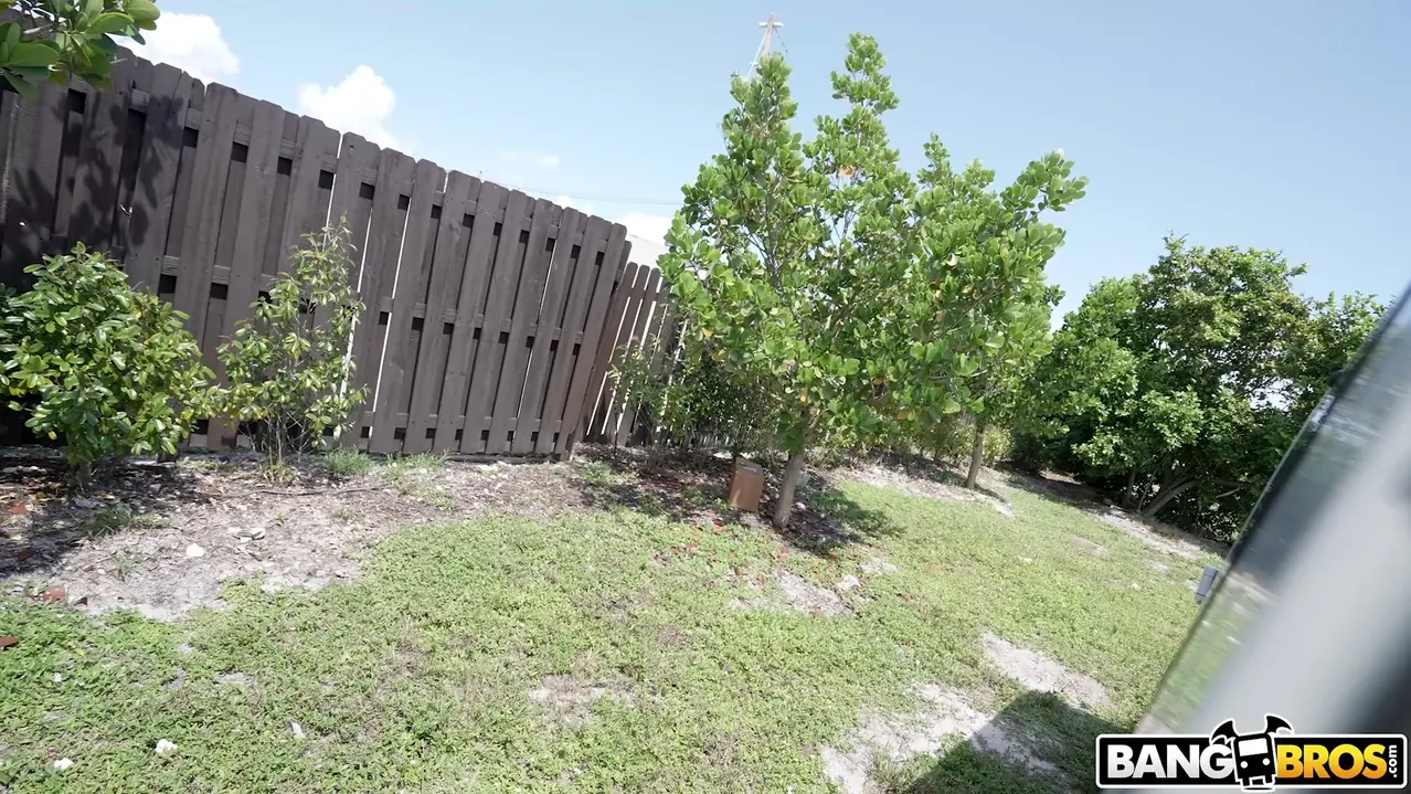 Bangbros 'Chica salvaje folla en el autobús' protagonizando Sheem the Dream (foto 476)