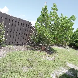 Sheem the Dream in Wild Girl Fucks on The Bus (Photo 476) Sheem the Dream in 'Bangbros' Wild Girl Fucks on The Bus (Thumbnail 476)