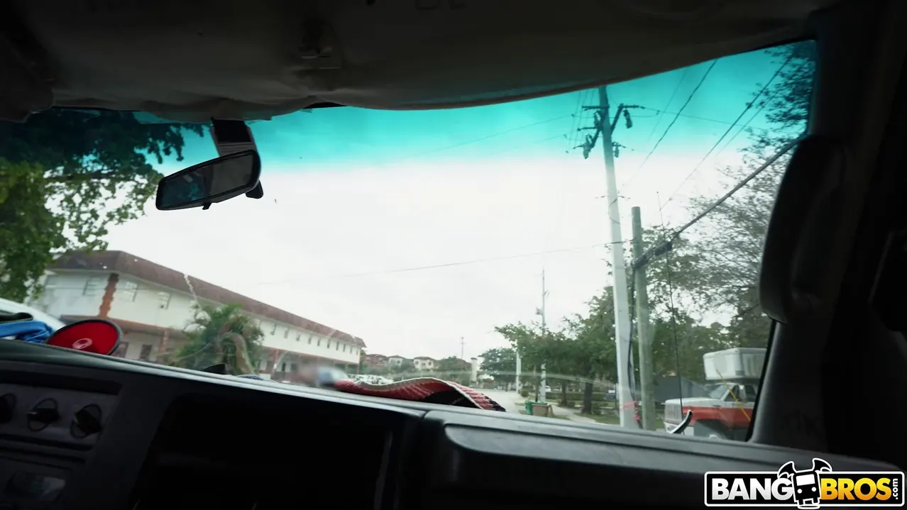 Bangbros 'Shrooms Blooms on the Bus' starring Shrooms Q (Photo 1)