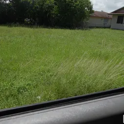 Sisi Rose in 'Bangbros' on the Bus (Thumbnail 975)