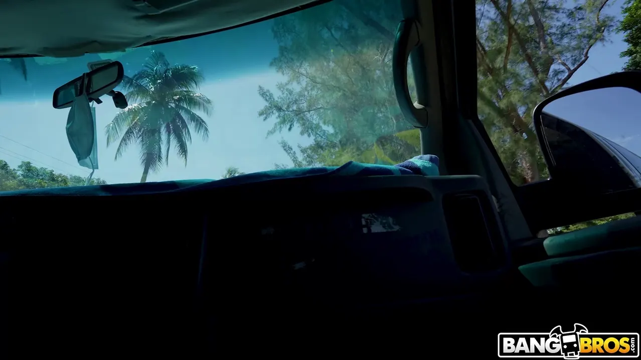 Skyla Sun en 'Azada en el autobús' from 'Bangbros' (foto 1) Bangbros 'Azada en el autobús' protagonizando Skyla Sun (foto 1)