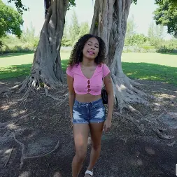 Skyla Sun en 'Bangbros' Azada en el autobús (Miniatura 75)