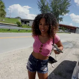 Skyla Sun en 'Bangbros' Azada en el autobús (Miniatura 1125)