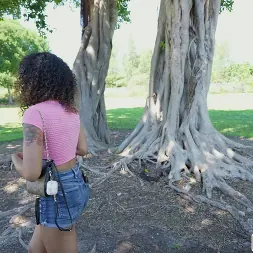 Skyla Sun en 'Bangbros' Azada en el autobús (Miniatura 375)