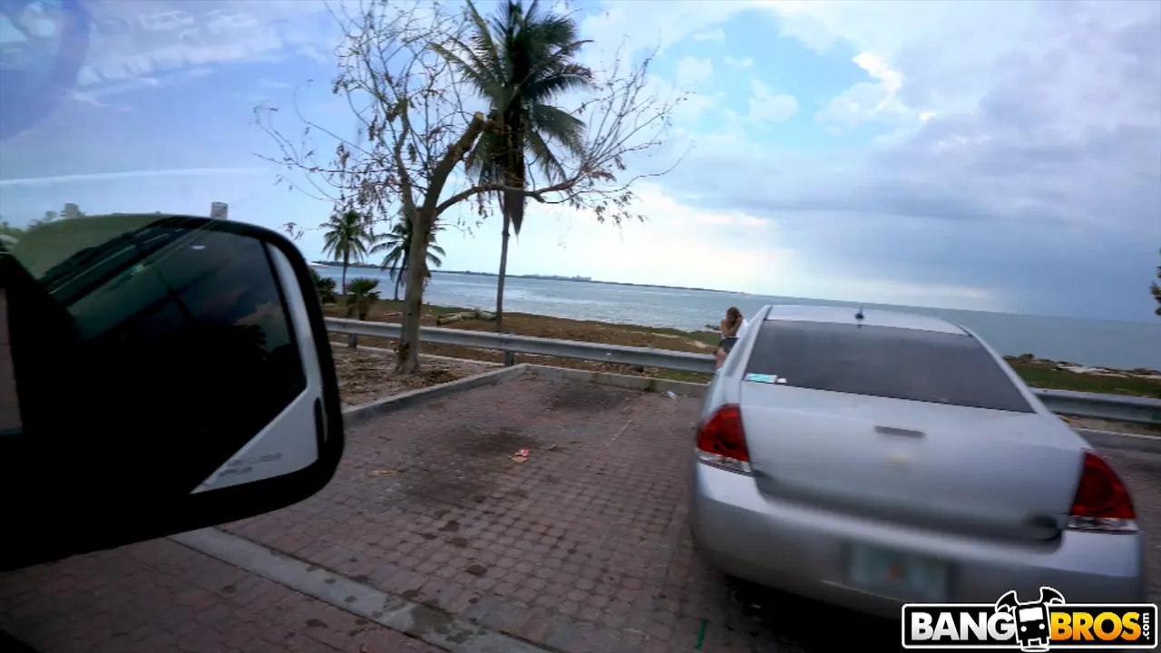 Sloan Harper in 'Blonde With Natural Tits Hops On The Bus' from 'Bangbros' (Photo 1) Bangbros 'Blonde With Natural Tits Hops On The Bus' starring Sloan Harper (Photo 1)