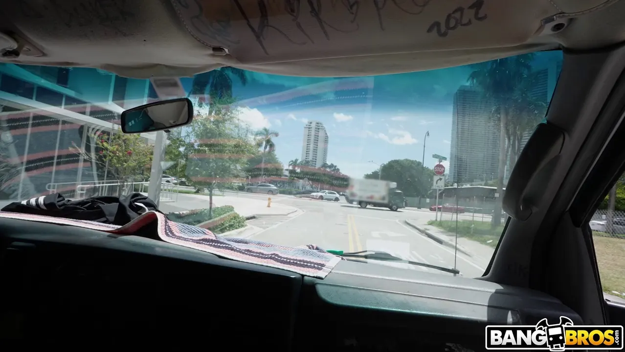 Bangbros 'The Social Experiment' starring Sona Bella (Photo 1)