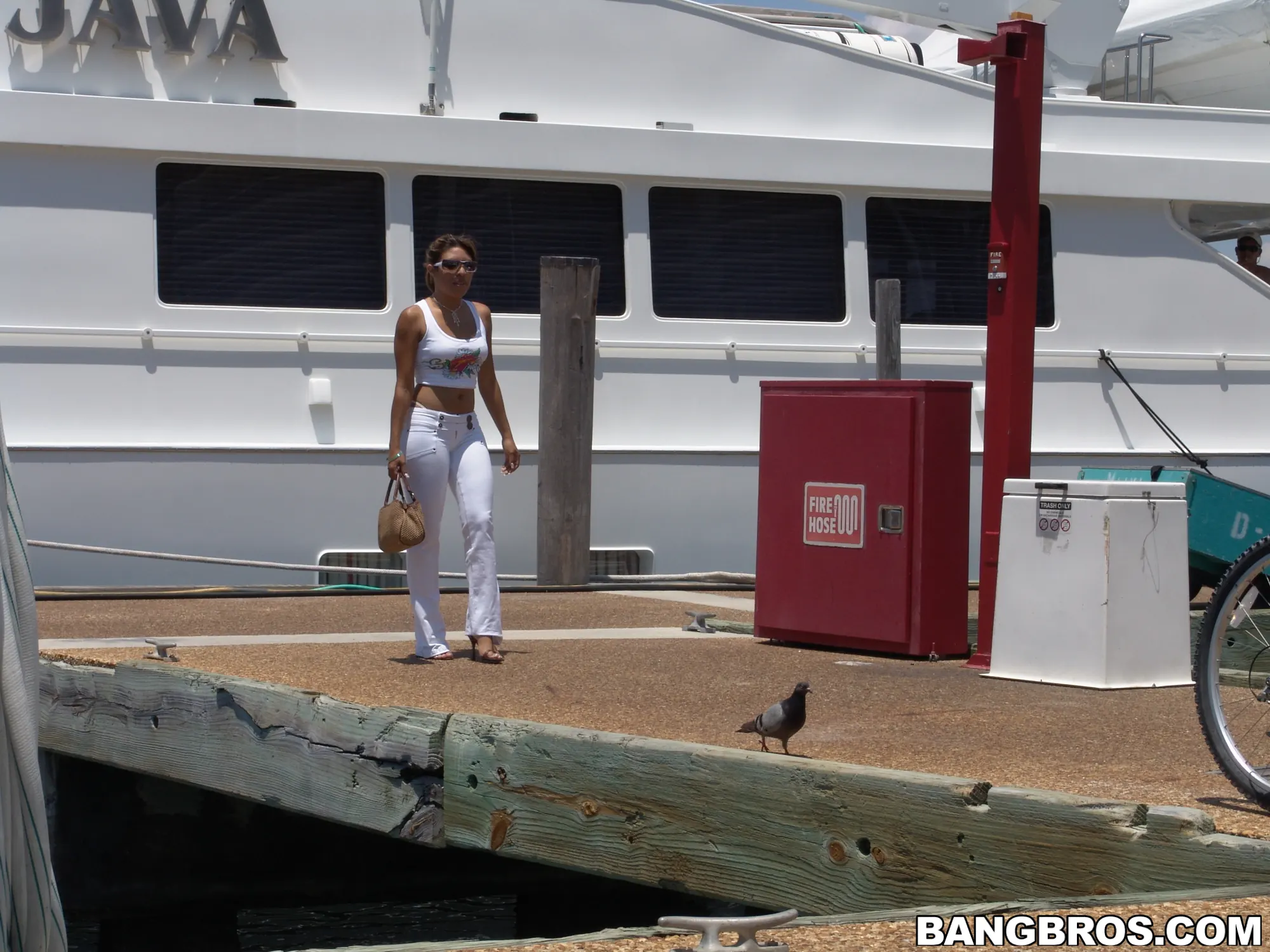 Bangbros 'Me encantan las latinas con un culo enorme' protagonizando Sophia Castello (foto 2)