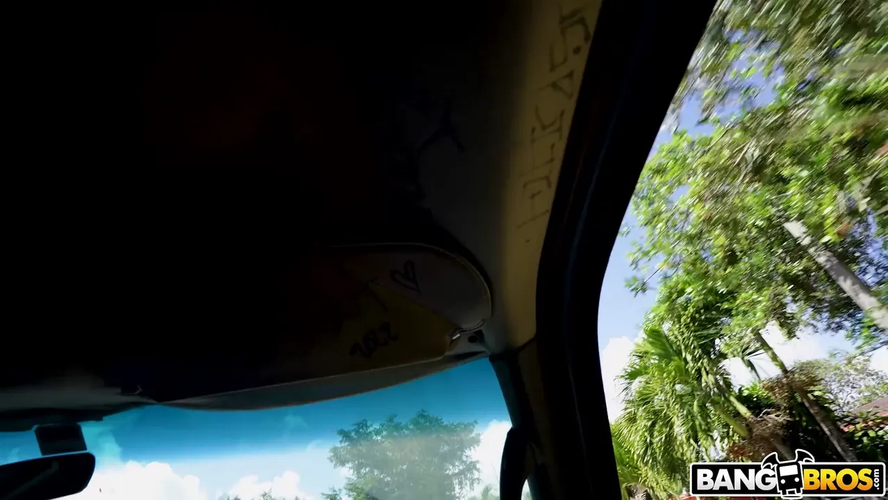 Bangbros 'Golpes en el autobús' protagonizando Starlette Storm (foto 1)