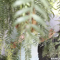 Sunny Lane en 'Bangbros' Brooklyn, Brynn Tyler y Sunny Lane son el equipo cinco de comida rápida (Miniatura 120)