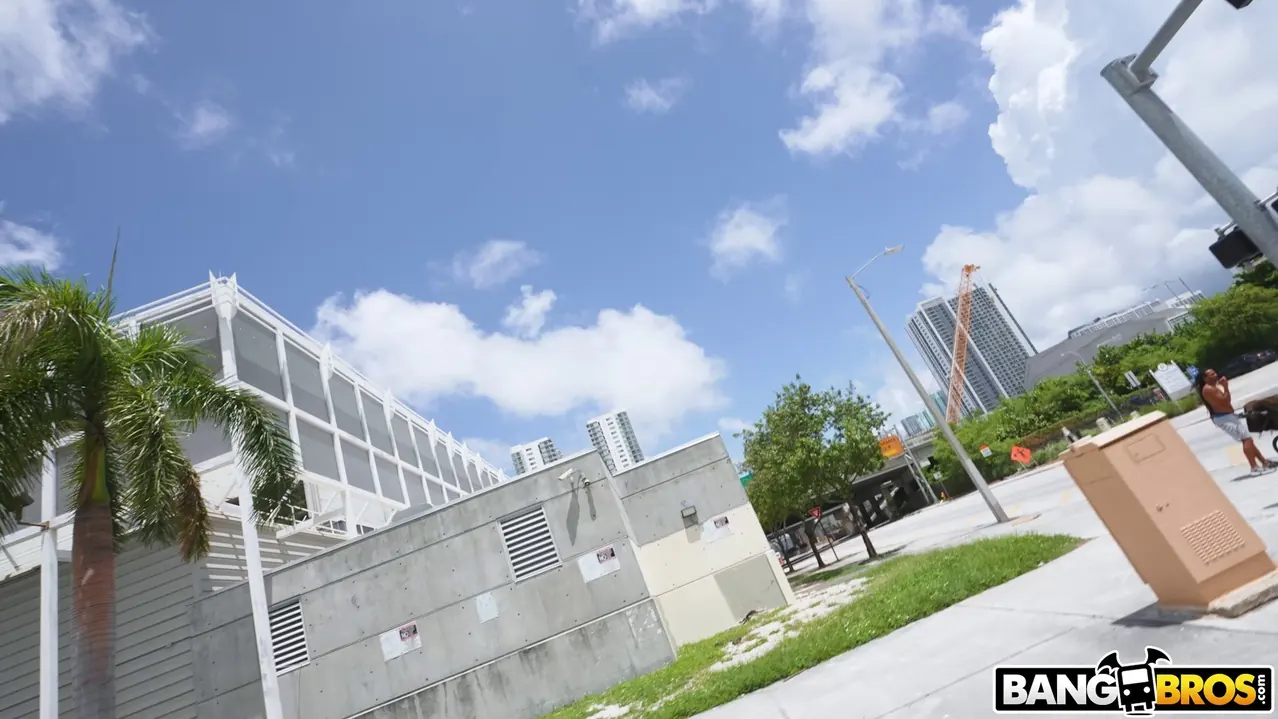 Sydney Paige en '¡El Contador Sabe Su Dinero!' from 'Bangbros' (foto 1) Bangbros '¡El Contador Sabe Su Dinero!' protagonizando Sydney Paige (foto 1)