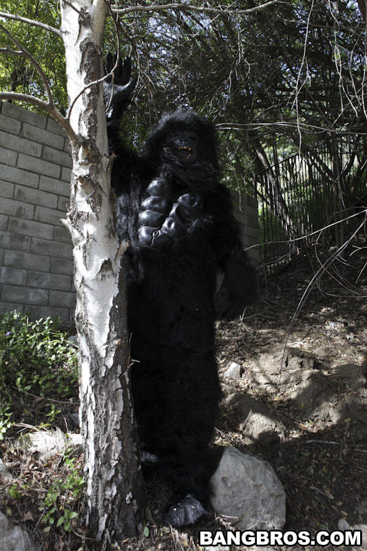 Bangbros 'Not Monkeying Around!' starring Tara Lynn Foxx (Photo 682)