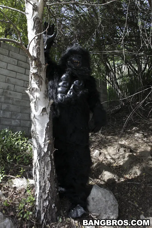 Bangbros 'Not Monkeying Around!' starring Tara Lynn Foxx (Photo 682)