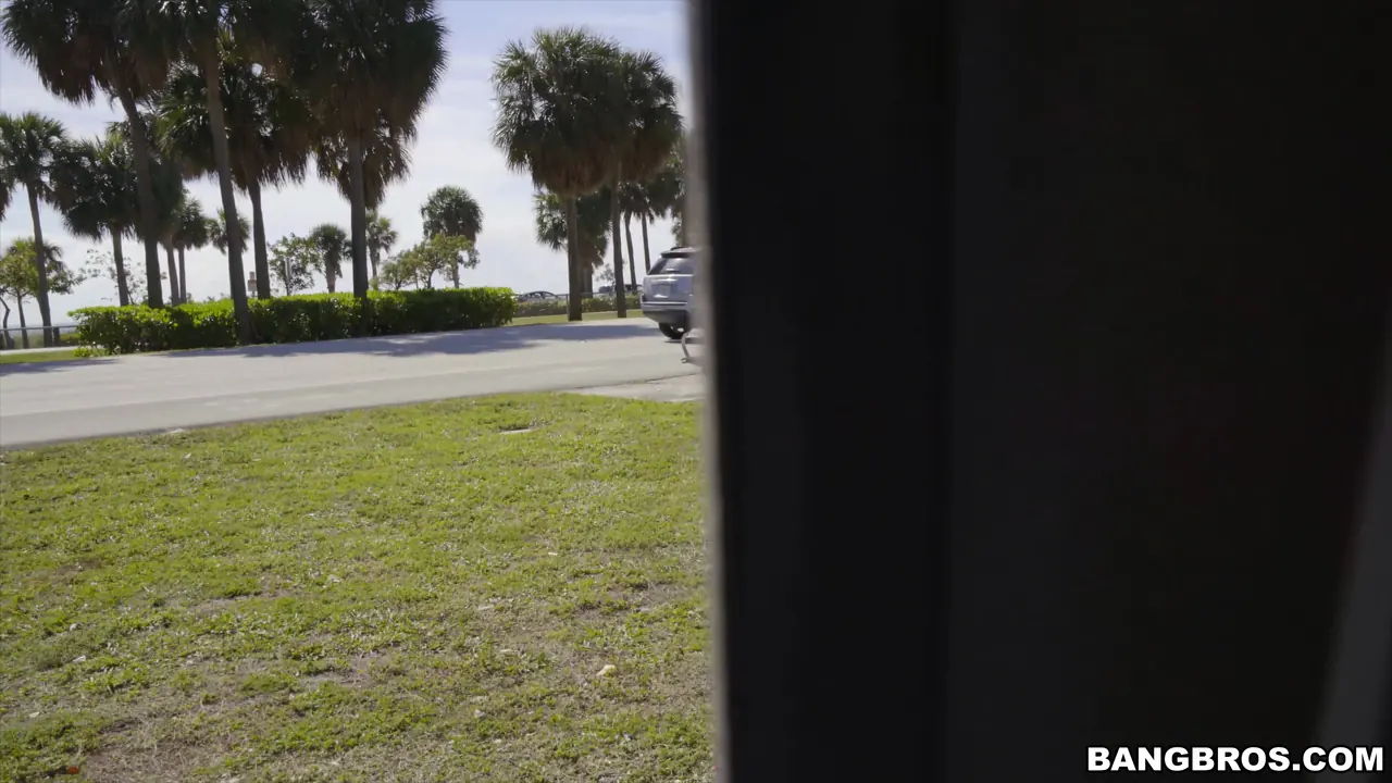 Bangbros 'Chinese Tourist Gets Scooped By The Bus' starring Tiffany Rain (Photo 165)