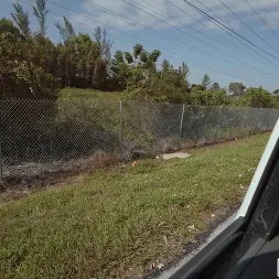 Veronica Church en 'Bangbros' Modelo desesperada por dinero (Miniatura 1050)