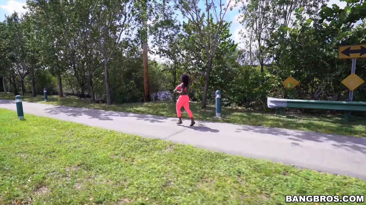 Bangbros 'Gigante botín negro viaja en autobús' protagonizando Vickie Starxxx (foto 37)