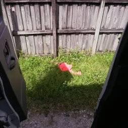 Vickie Starxxx en 'Bangbros' Gigante botín negro viaja en autobús (Miniatura 740)